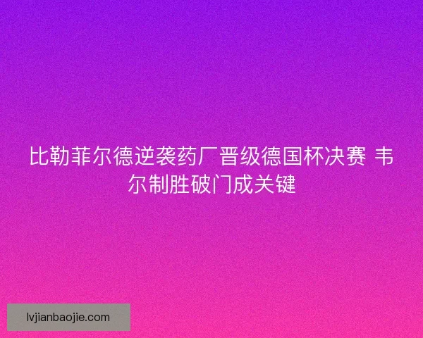 比勒菲尔德逆袭药厂晋级德国杯决赛 韦尔制胜破门成关键